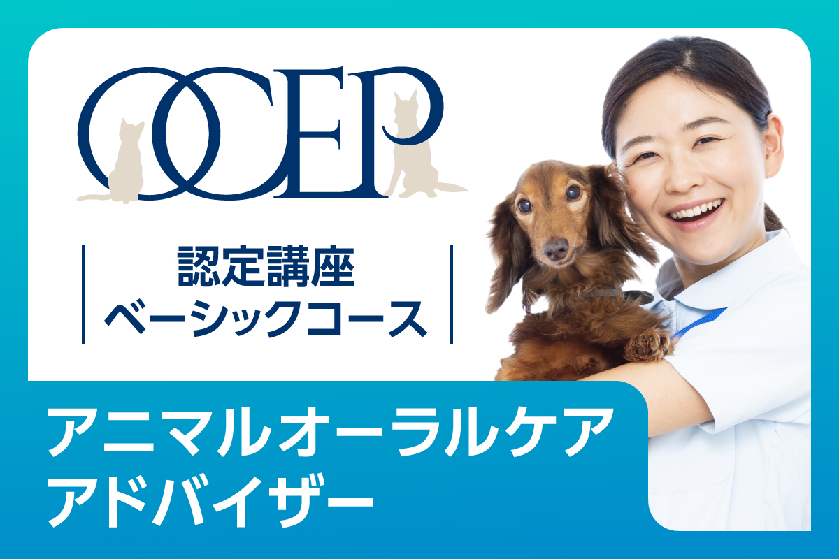OCEP主催】認定講座ベーシックコース｜動物医療関係者のセミナーサイト ペピイセミナー（PEPPYseminar）